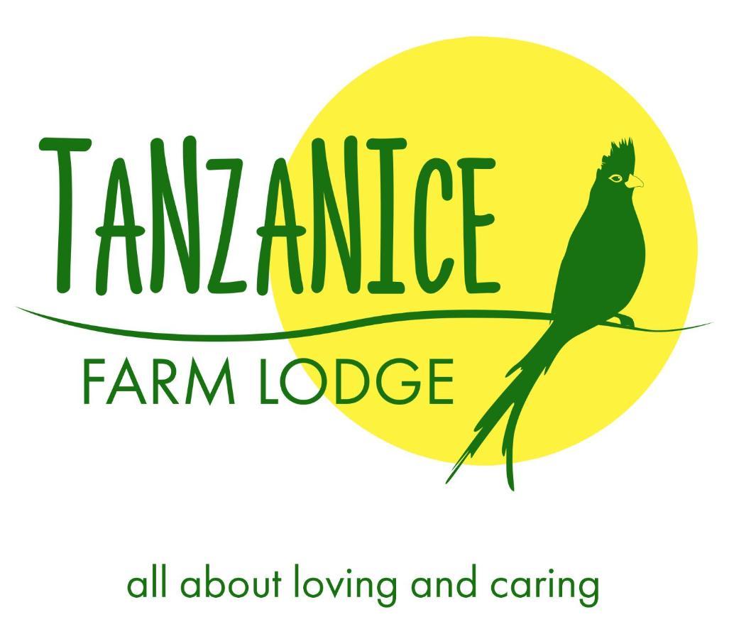 Tanzanice Farm Lodge Karatu Exteriör bild